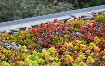 the cost of Blaydon Burn green roof installation